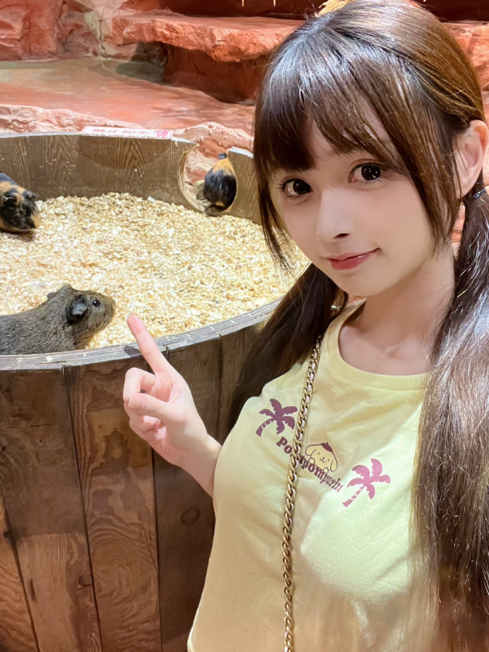 你是我的春天 封面