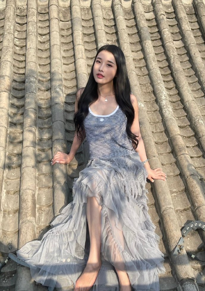 甄嬛传 封面