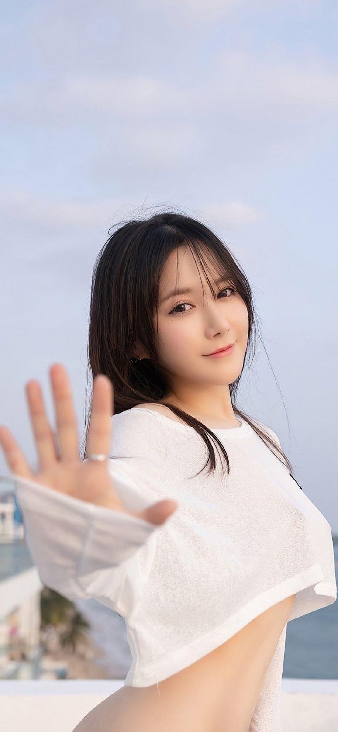 继承之战